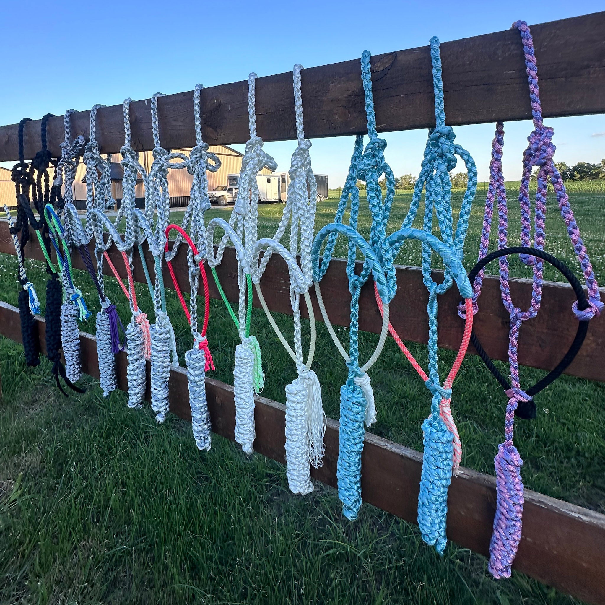 Muletape Halters