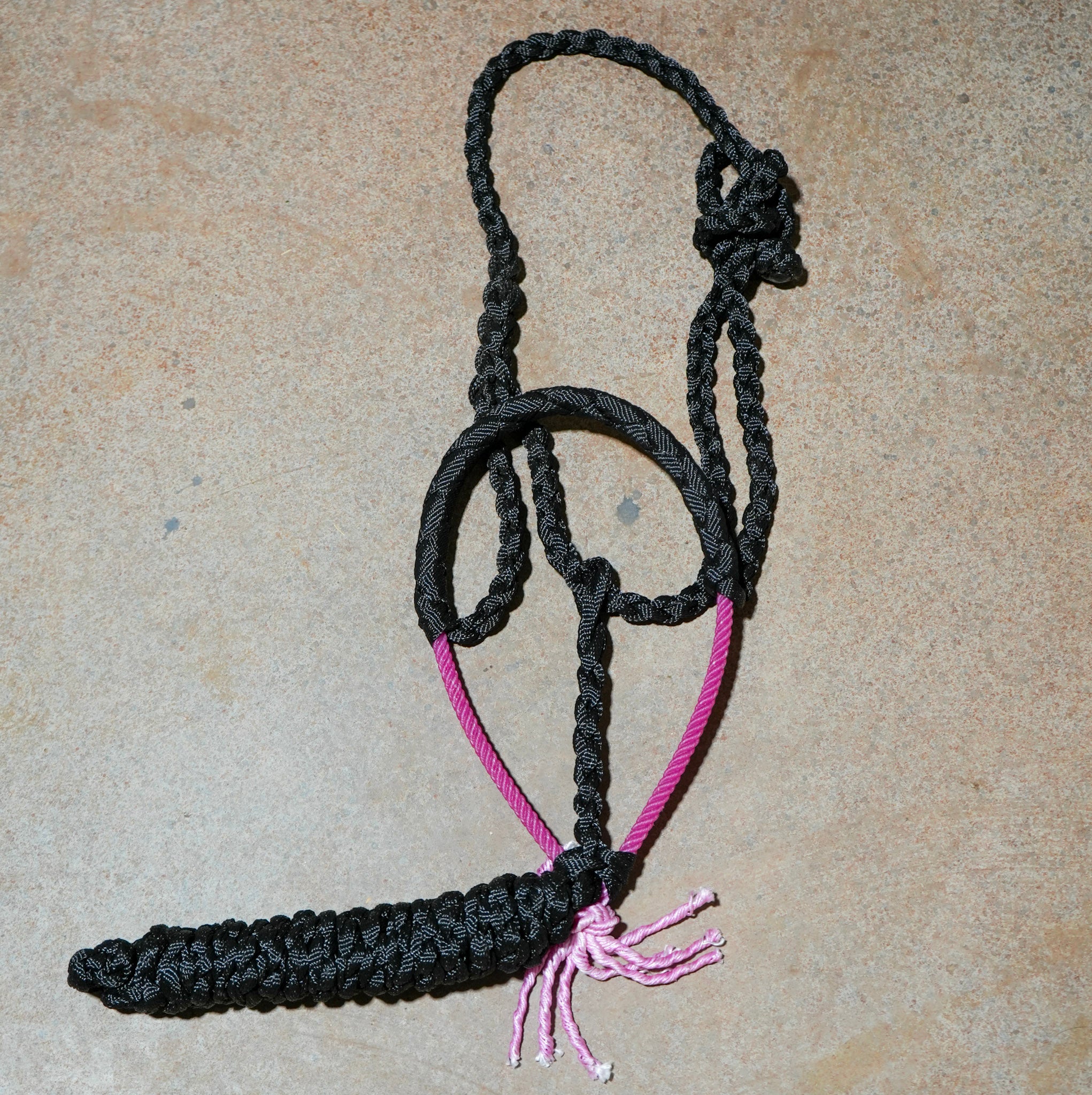 Muletape Halter