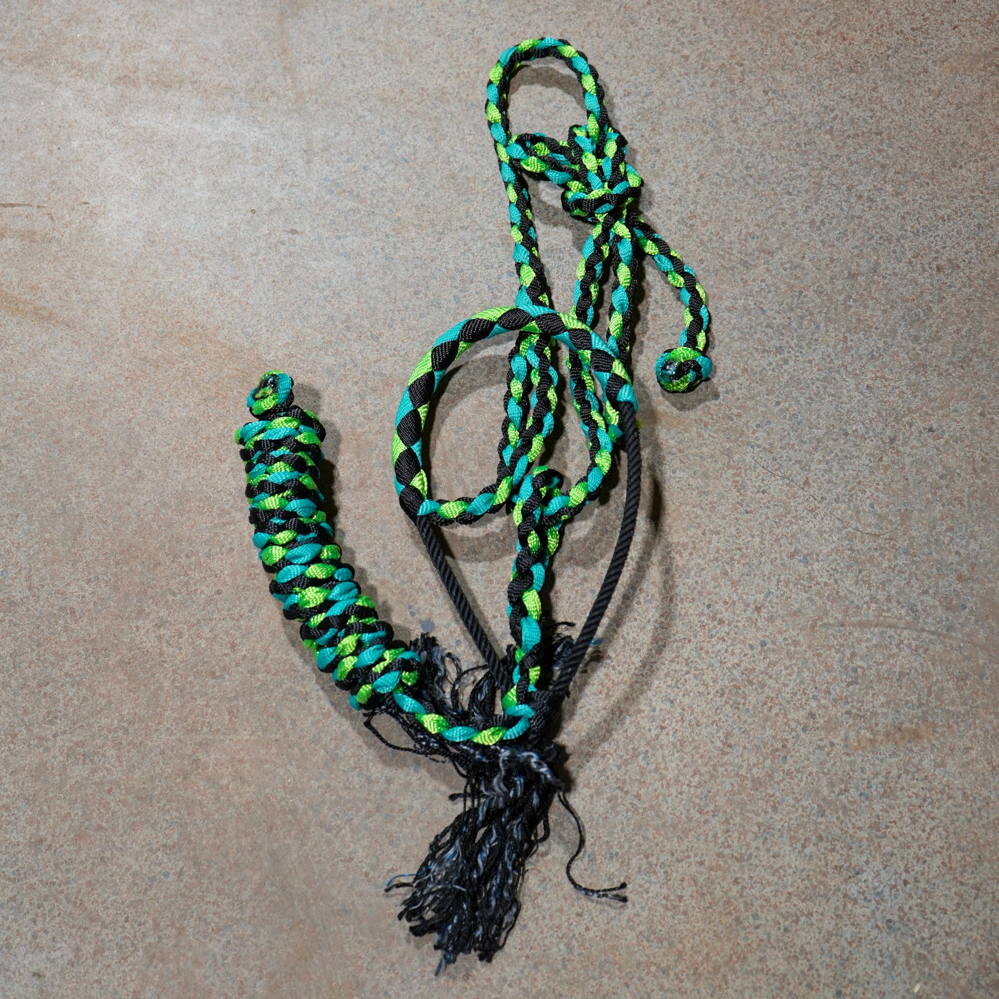 Muletape Halter