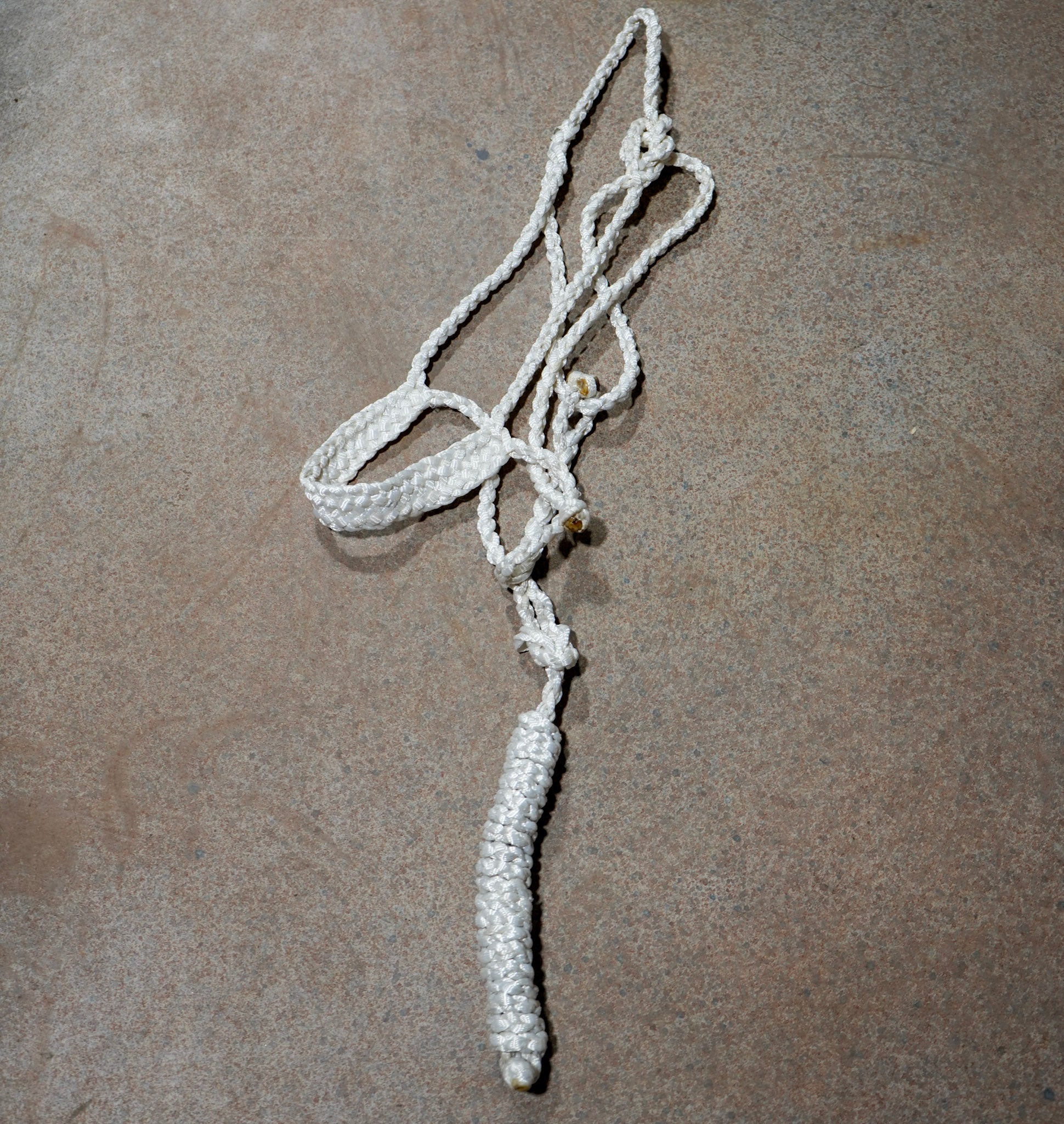 Muletape Halter