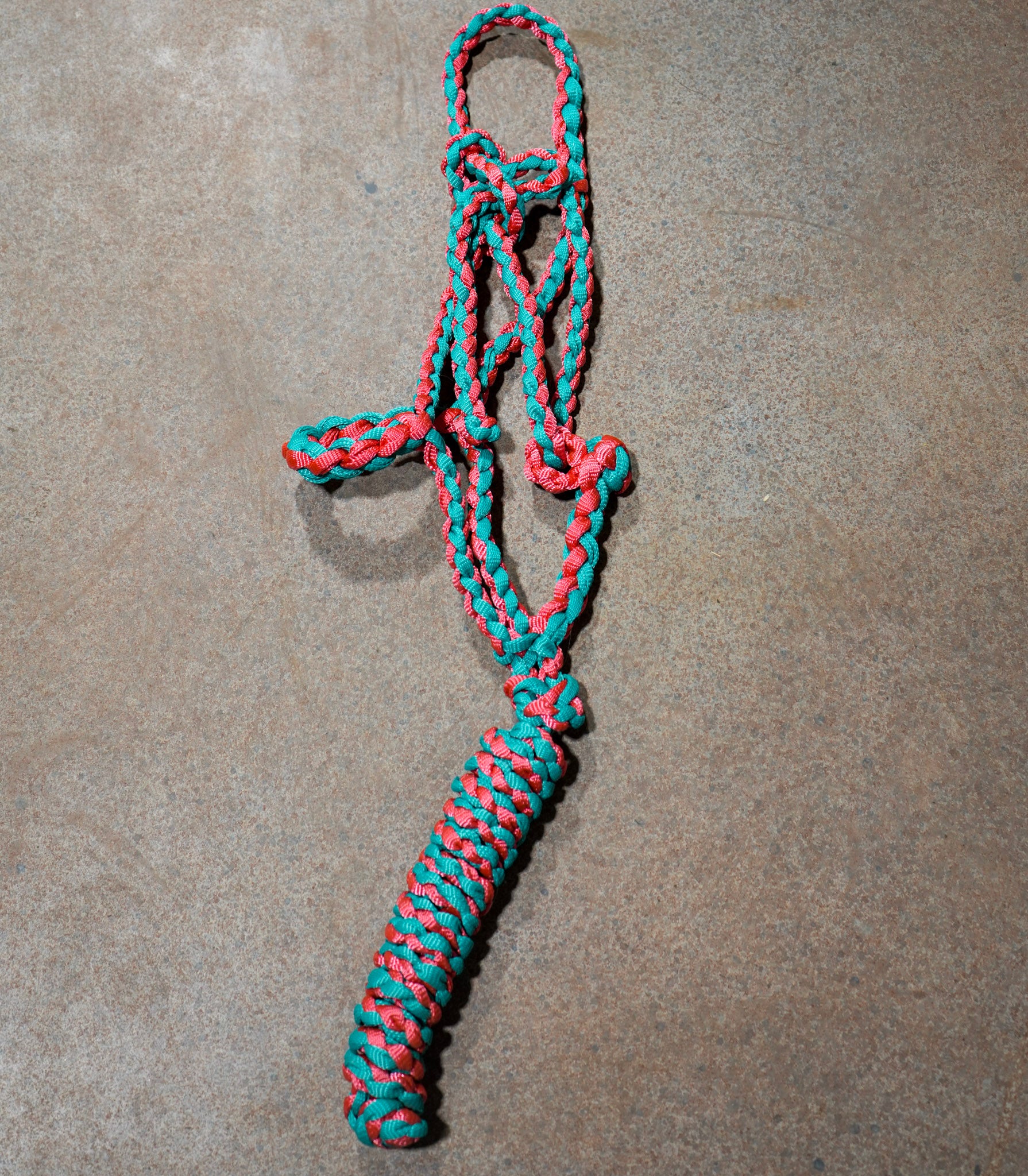 Muletape Halter