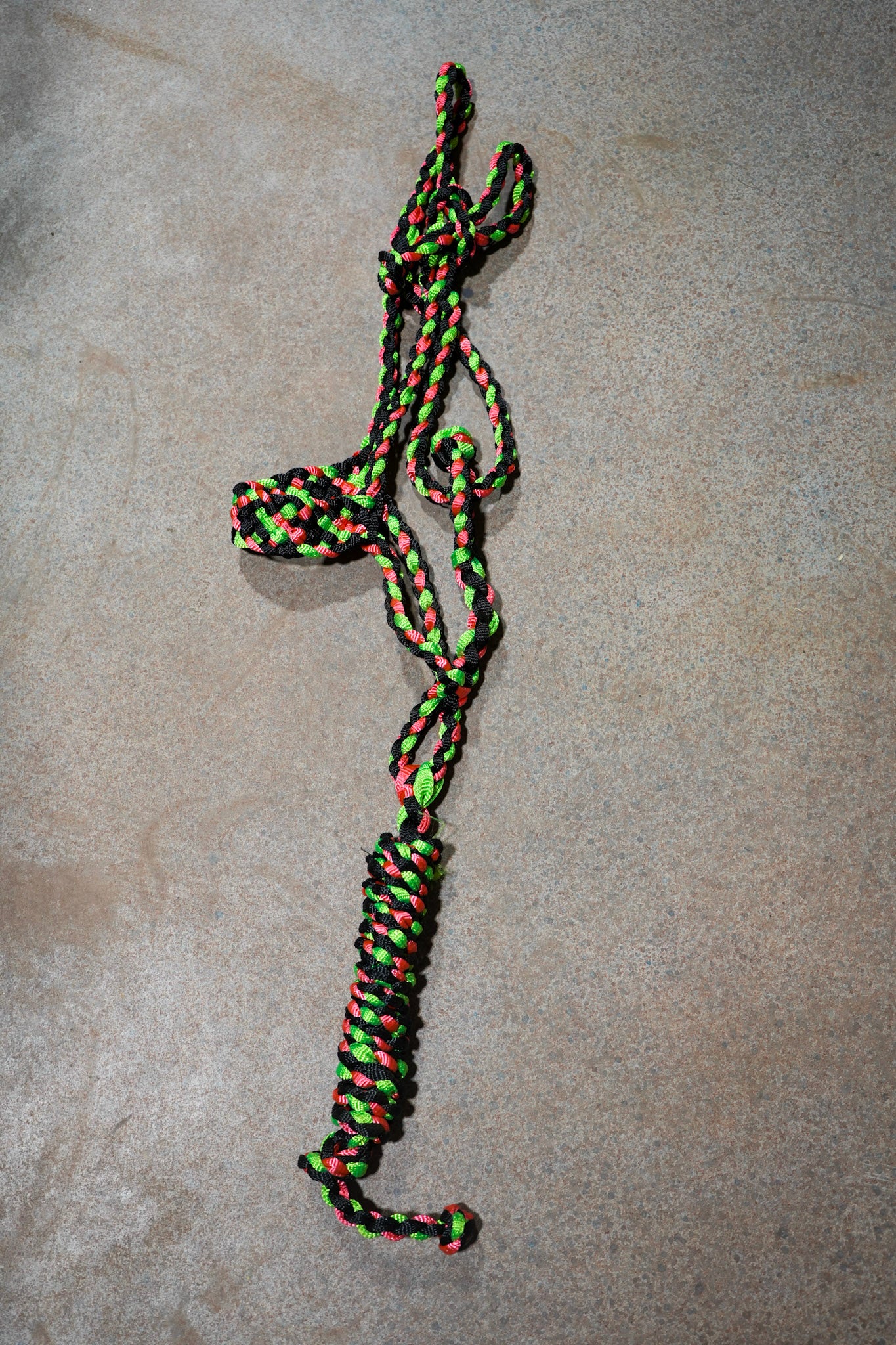 Muletape Halter