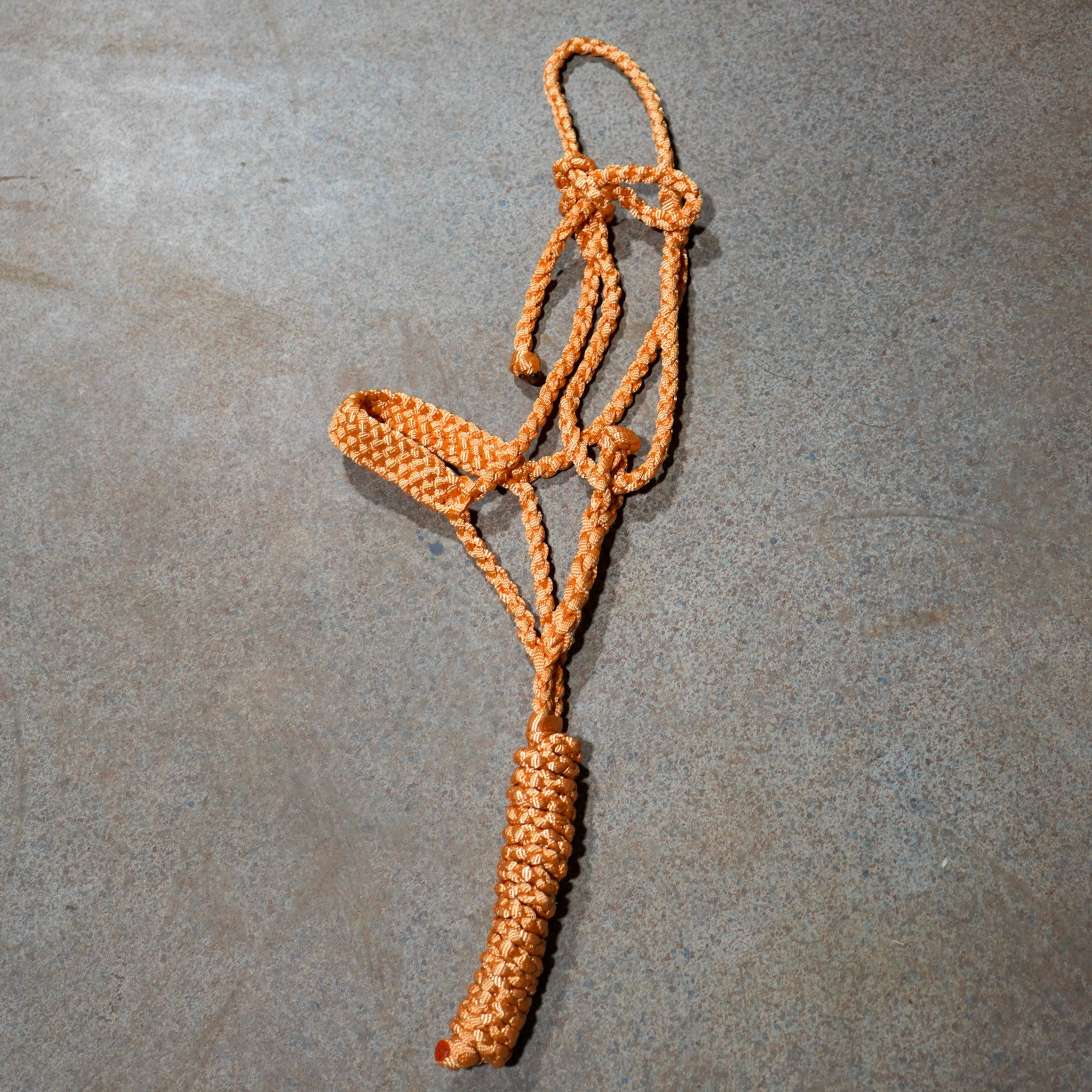Muletape Halter