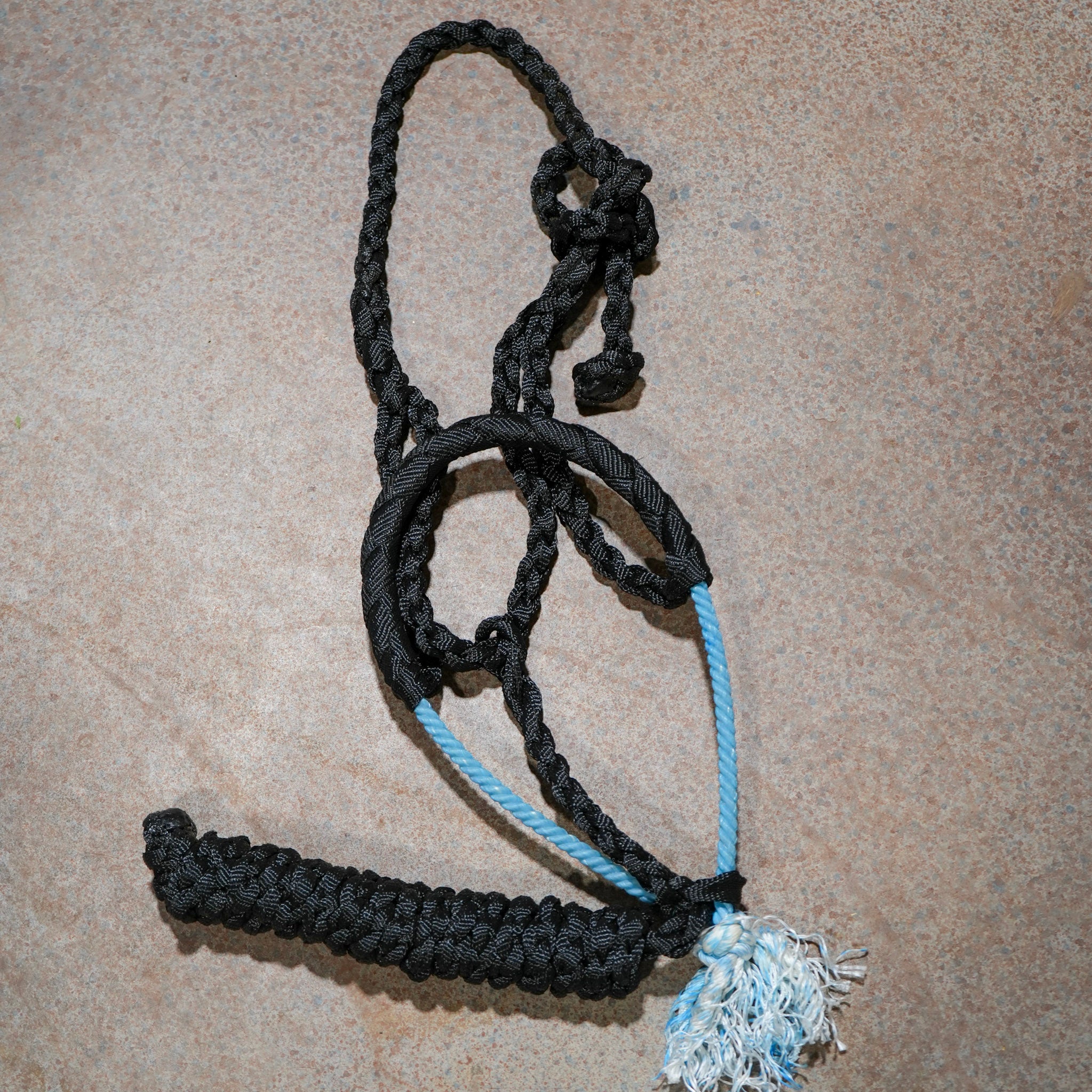 Muletape Halter