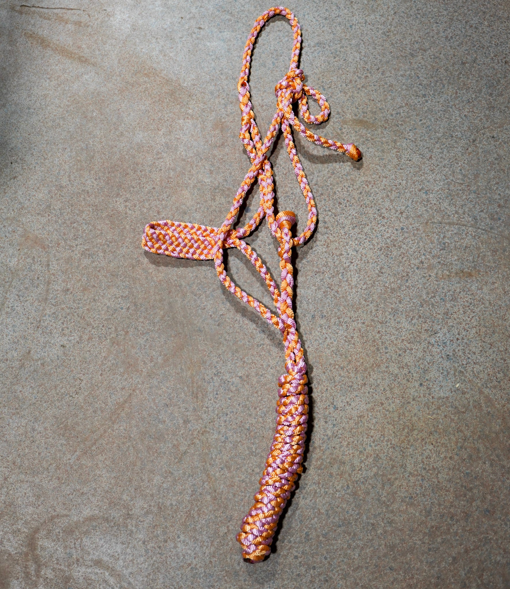 Muletape Halter