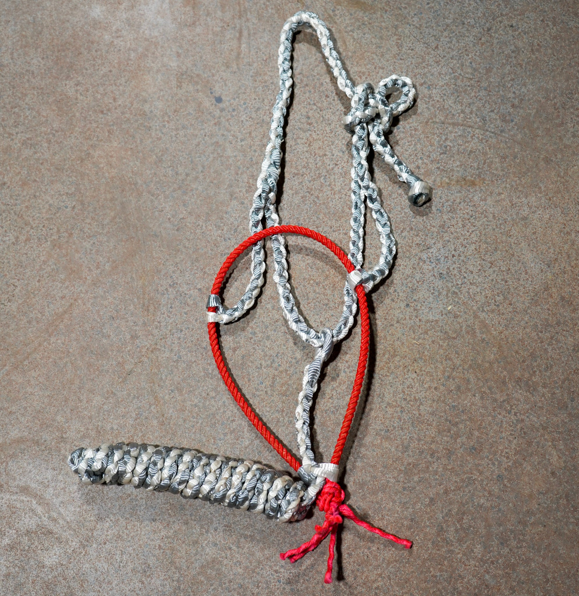 Muletape Halter