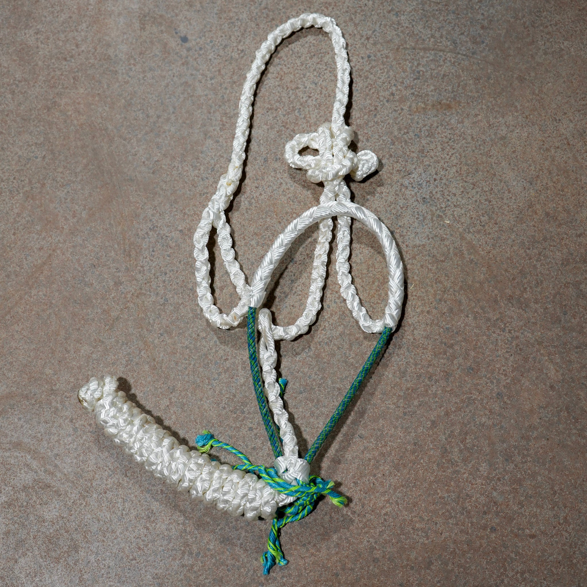 Muletape Halter