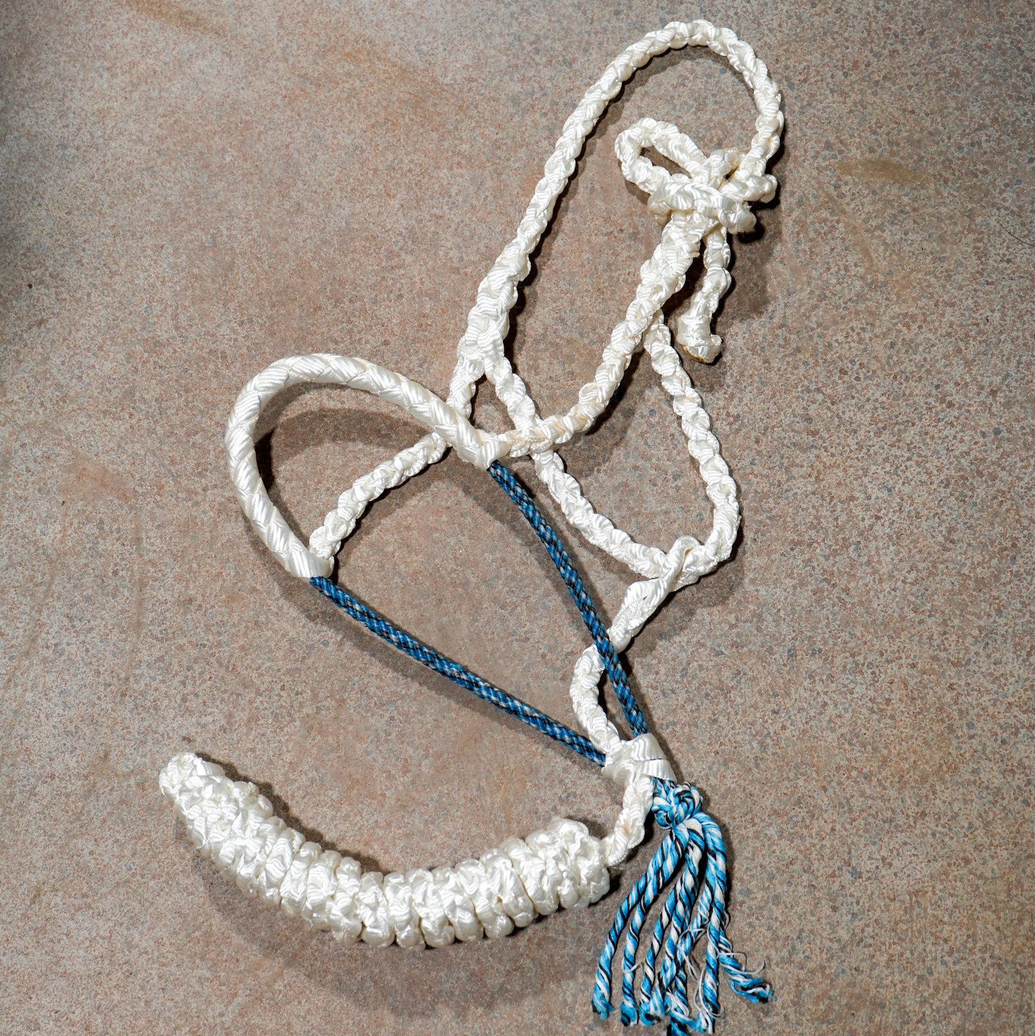 Muletape Halter