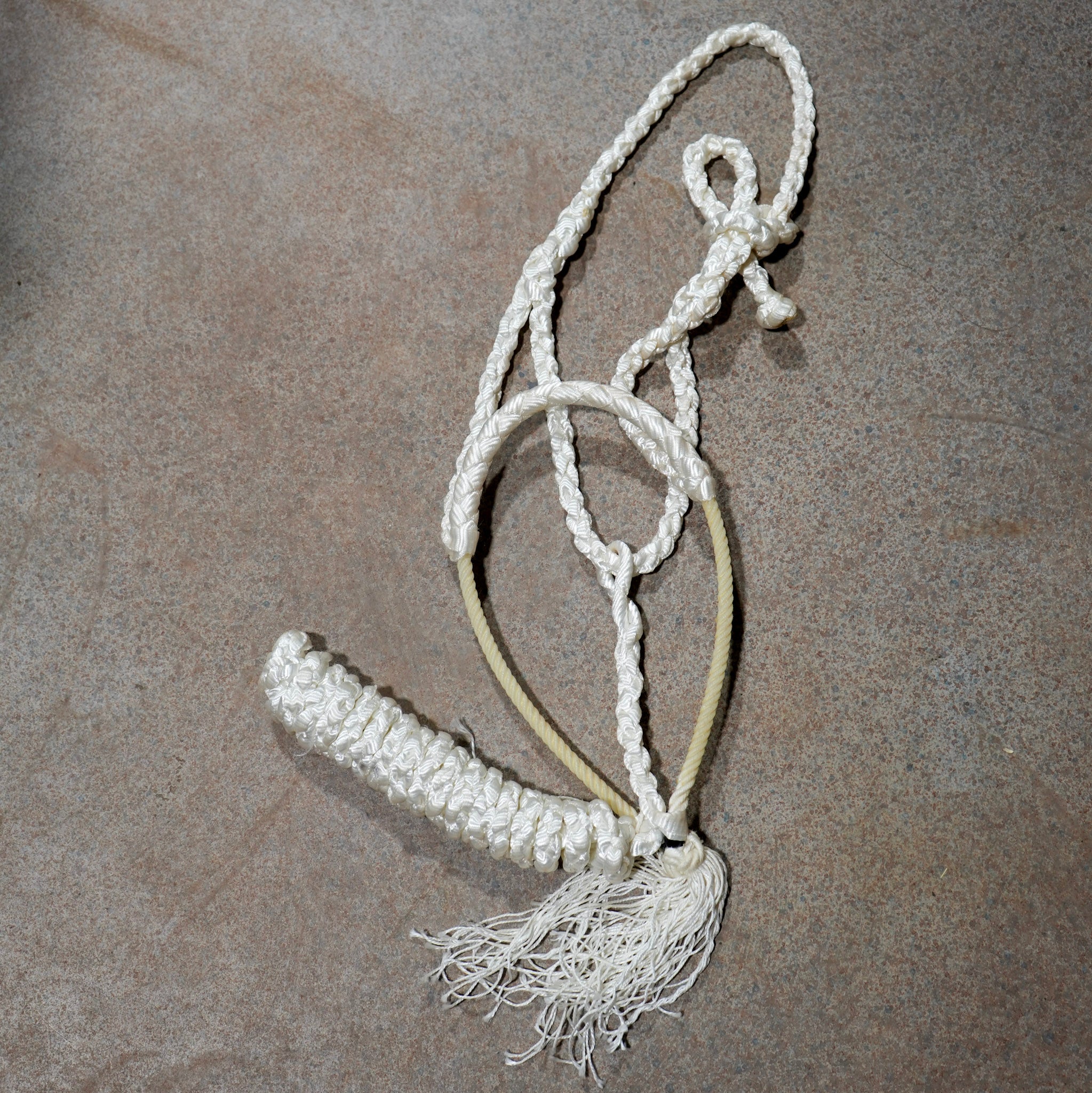 Muletape Halter