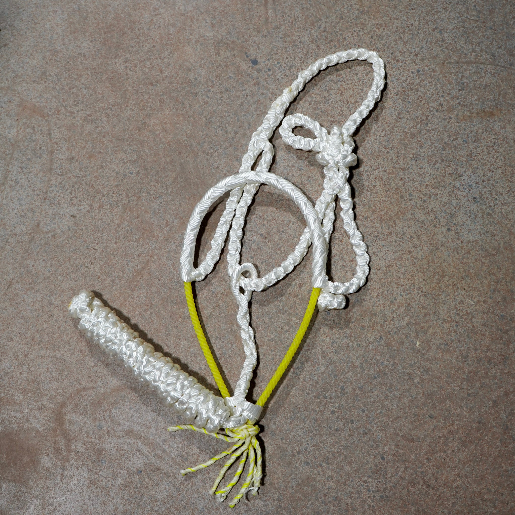 Muletape Halter