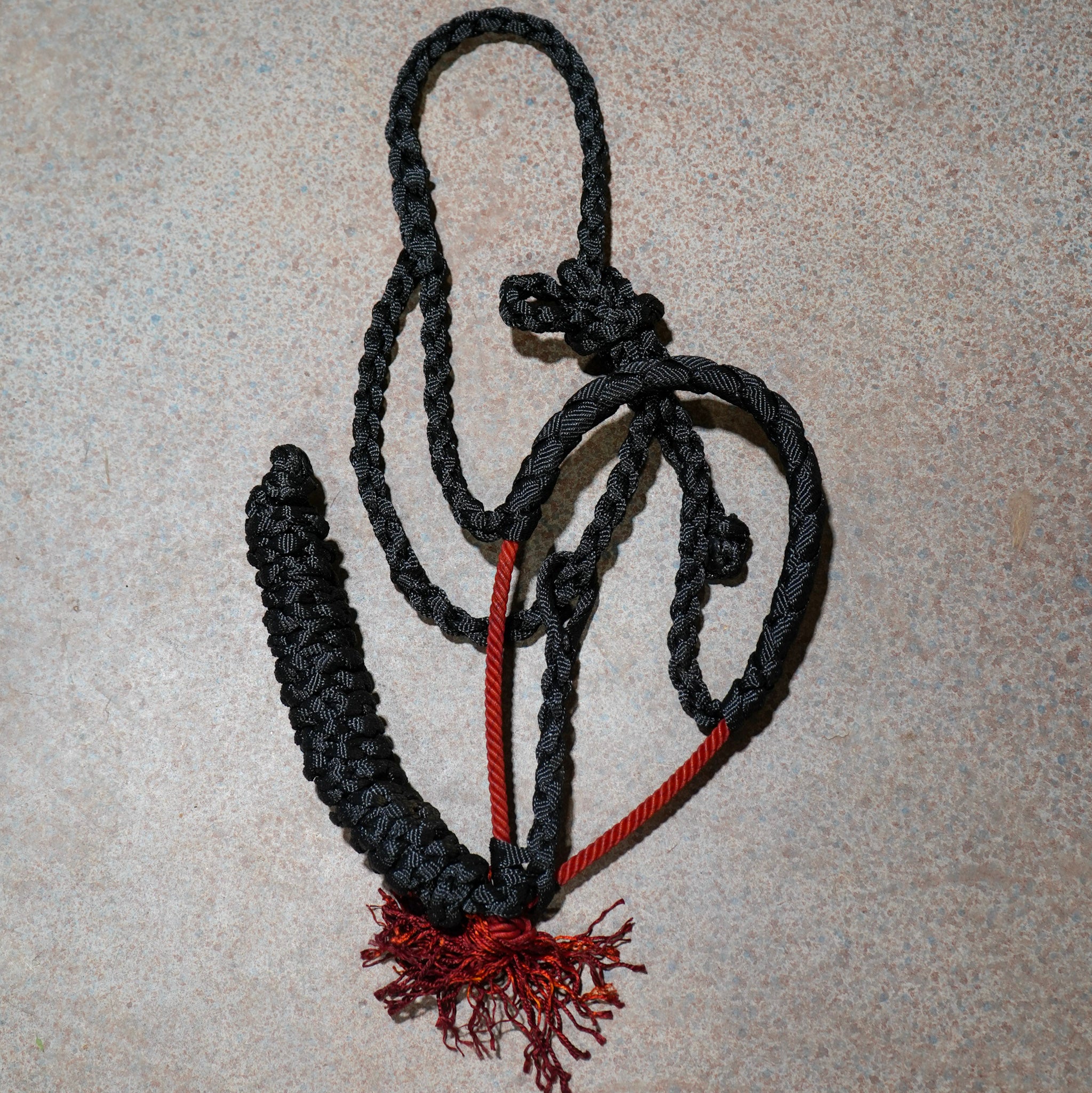 Muletape Halter