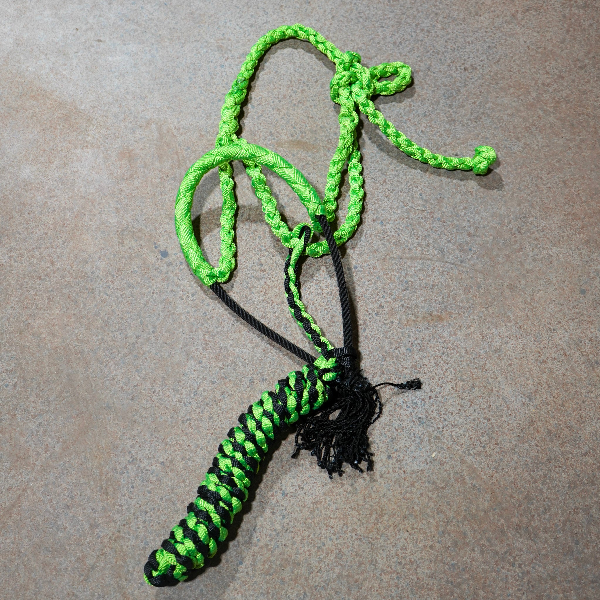 Muletape Halter